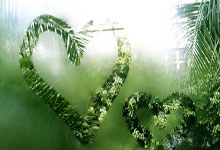 布伦特福德vs利物浦赛事前瞻分析-(随机）