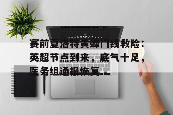 赛前夏洛特黄蜂门线救险：英超节点到来，底气十足，医务组通报恢复的简单介绍-满冠网页版